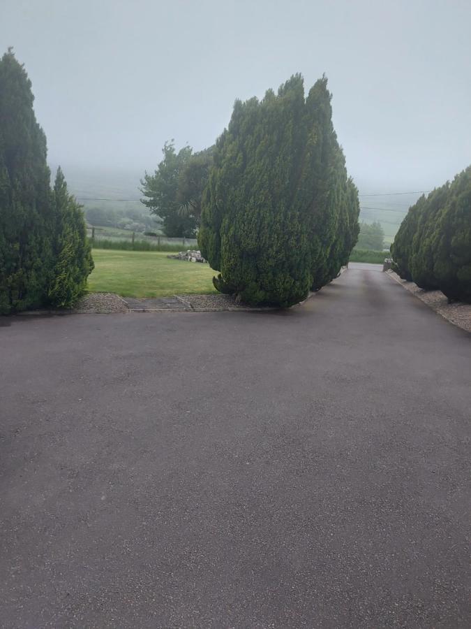 Amberley Pension Gorey Buitenkant foto